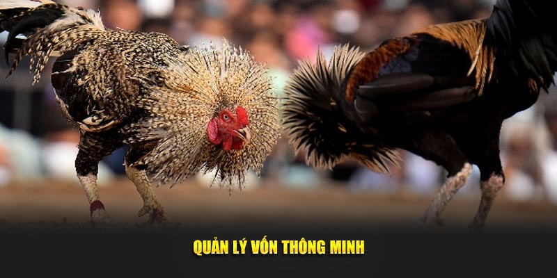 Quản lý vốn thông minh