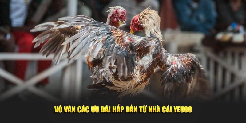 Vô vàn các ưu đãi hấp dẫn từ nhà cái Yeu88