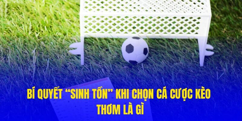 Bí quyết “sinh tồn” khi chọn cá cược kèo thơm là gì