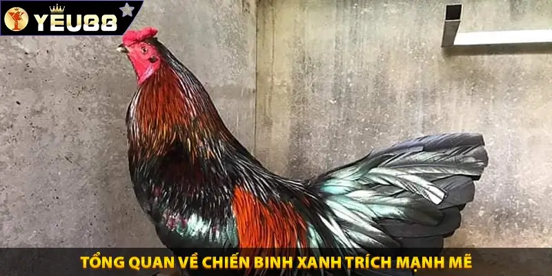 Tổng quan về chiến binh xanh trích mạnh mẽ